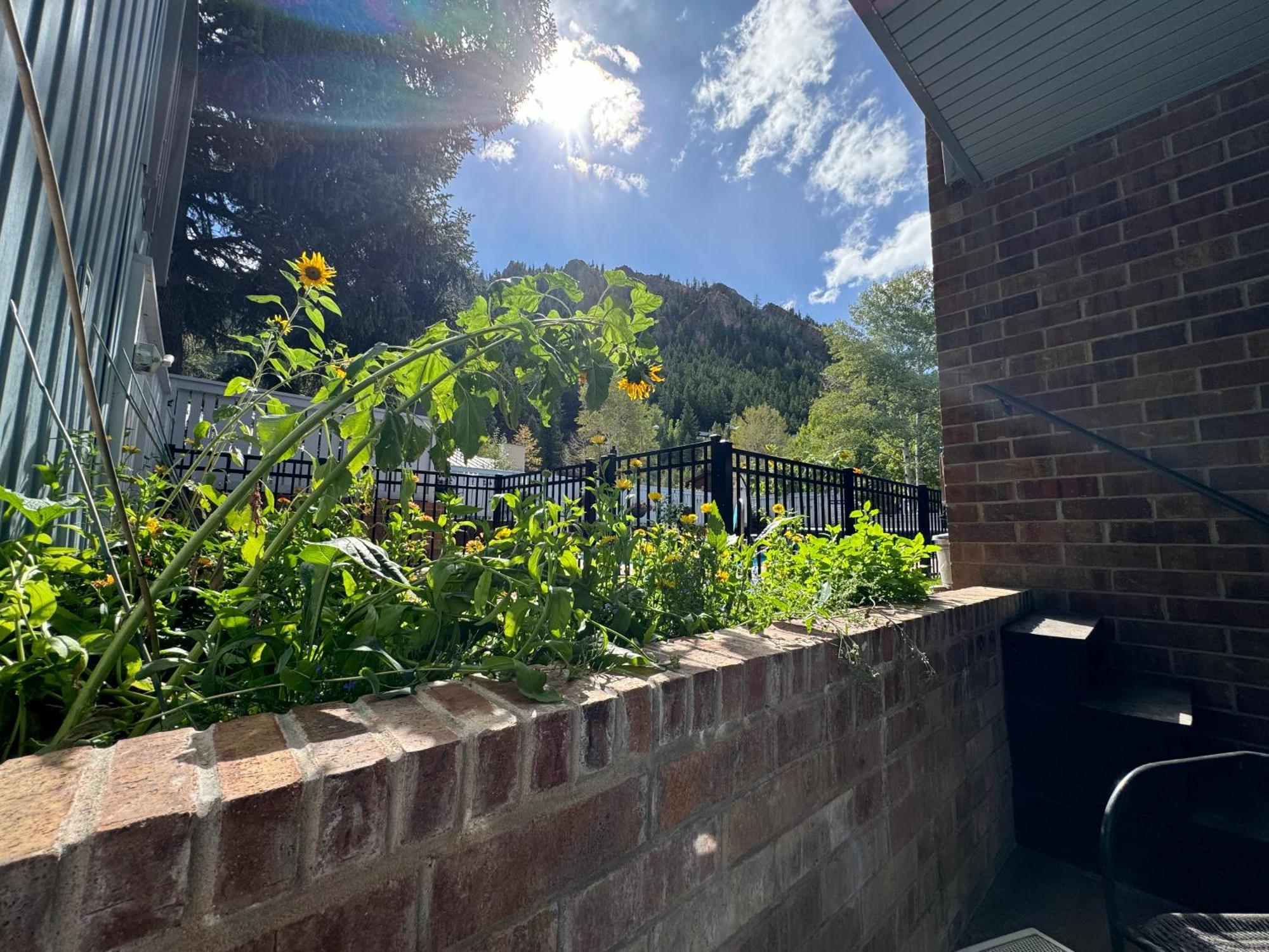 Shadow Mountain Lodge Aspen Exterior foto